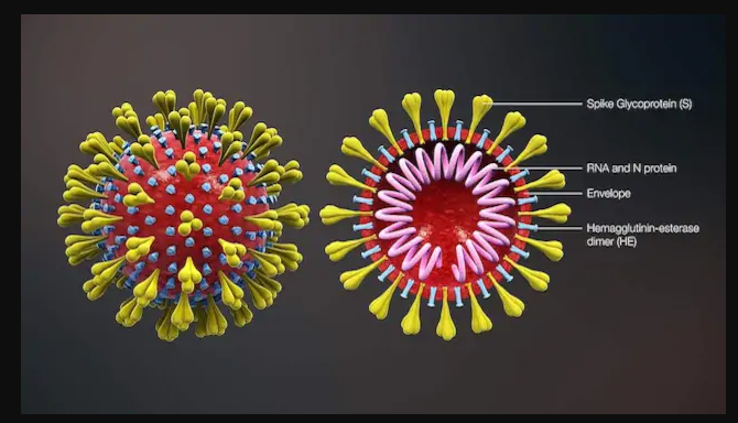 COVID-19 origin: WHO takes U-turn, gain-of-function research and biolabs