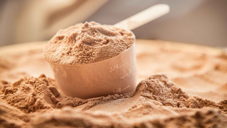 Is Protein Powder Good For You 2023?