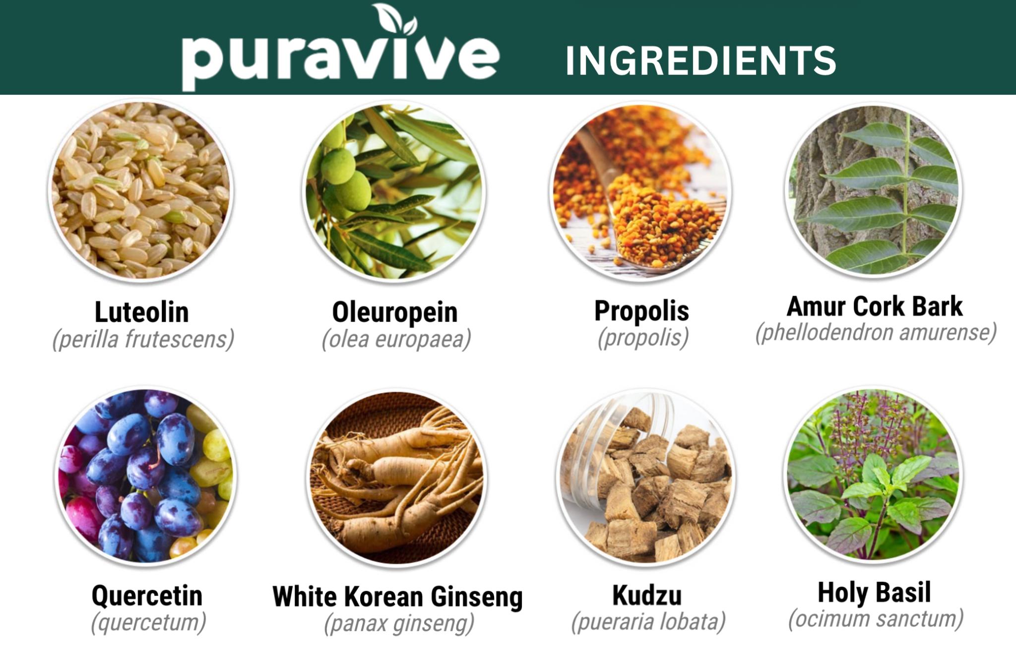 Puravive Ingredients