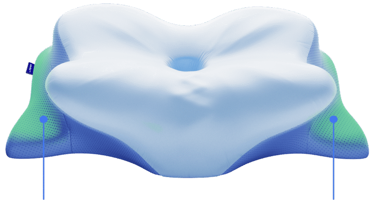 Derila ERGO Memory Foam Pillow Reviews – Is It Safe And Worth Trying?